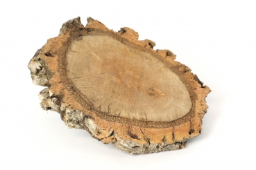 Baumscheibe aus Kork 25cm bis 45cm