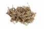 Preview: Sphagnum Moos 1 kg aus Chile