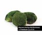Preview: preserved ballmoss dark green window karton