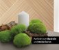 Preview: preserved ballmoss dark green window karton