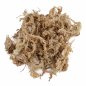 Preview: Sphagnum Moos 5 kg aus Chile