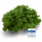 Preview: Islandmoos / Rentierflechte in verschiedenen Farben 100g - 1kg