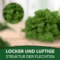 Preview: Islandmoos / Rentierflechte in verschiedenen Farben 100g - 1kg