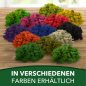 Preview: Islandmoos / Rentierflechte in verschiedenen Farben 100g - 1kg
