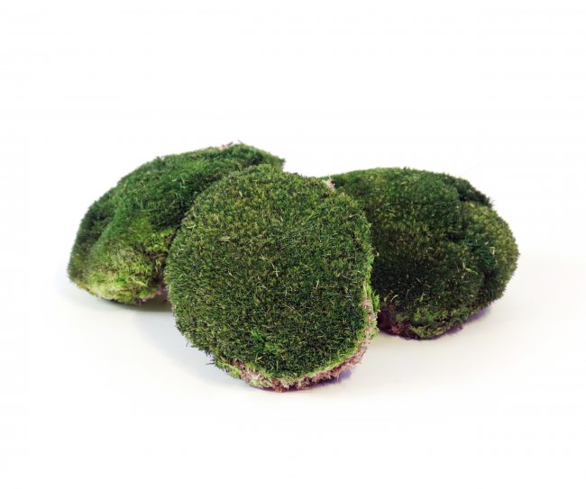 Preserved ballmoss dark green 250g