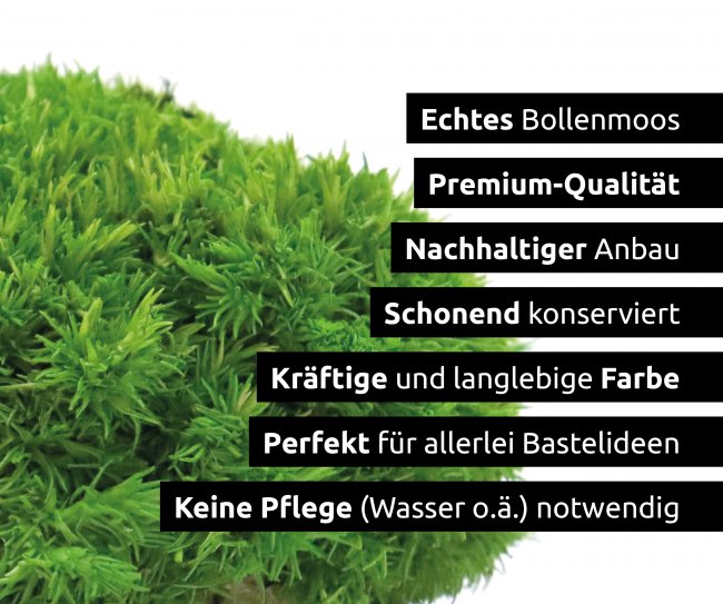 Bollenmoos konserviert dunkelgrün 250g