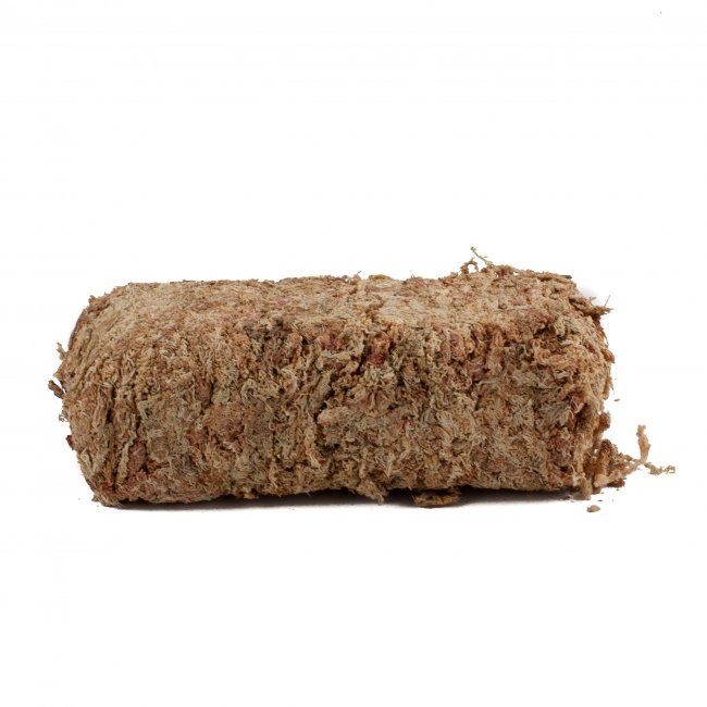 Sphagnum Moos 150 Gramm aus Chile