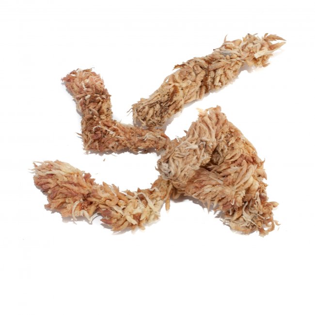 Sphagnum Moos 500 Gramm aus Chile