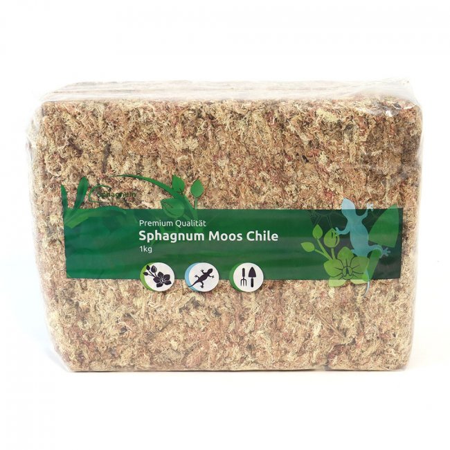 Sphagnum moss Chile - Sphagnum Shop