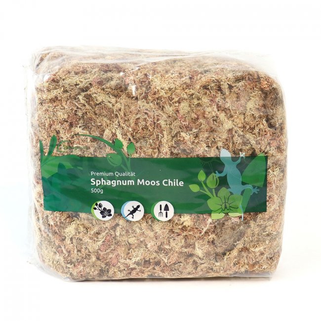 Sphagnum Moos 500 Gramm aus Chile