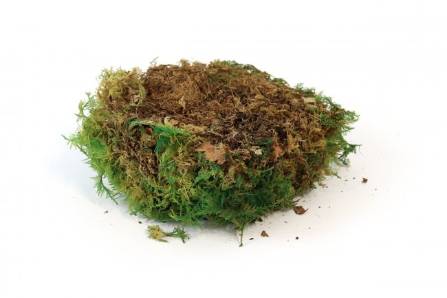 Preserved Fernmoss green Windowbox 0,2m²