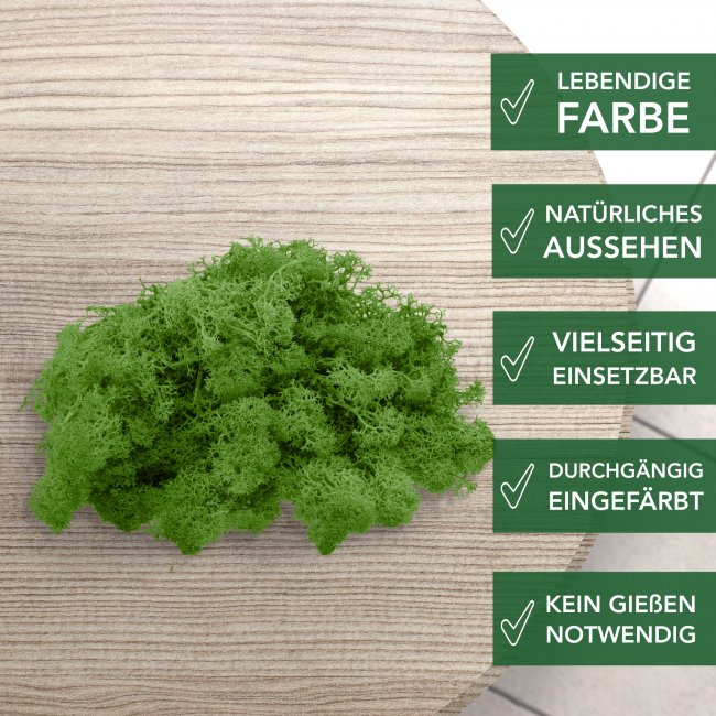 Islandmoos / Rentierflechte in verschiedenen Farben 100g - 1kg