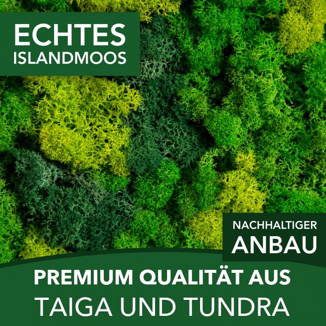 Islandmoos / Rentierflechte in verschiedenen Farben 100g - 1kg
