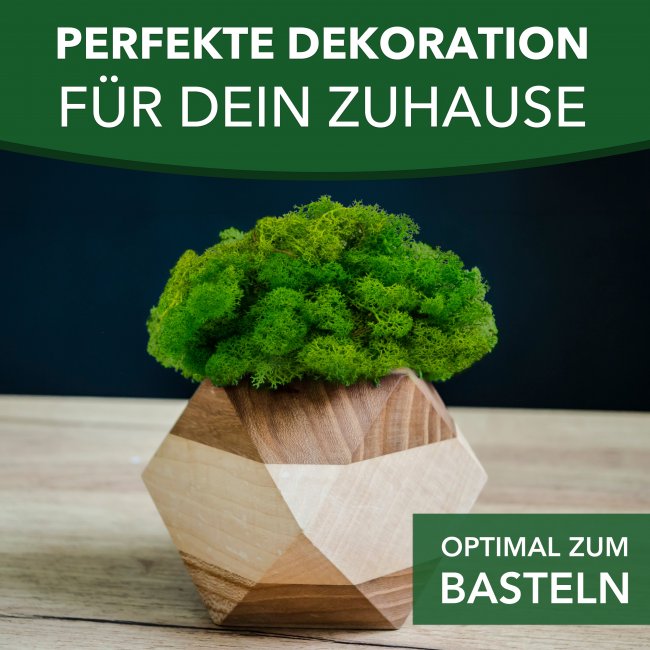 Islandmoos / Rentierflechte in verschiedenen Farben 100g - 1kg
