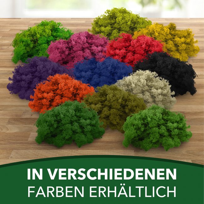 Islandmoos / Rentierflechte in verschiedenen Farben 100g - 1kg