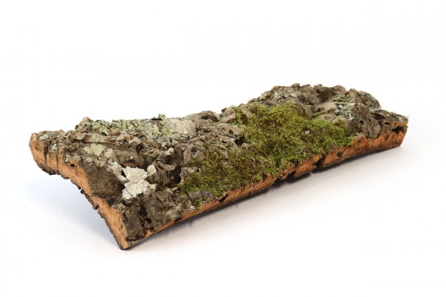 Korkplatte 50cm