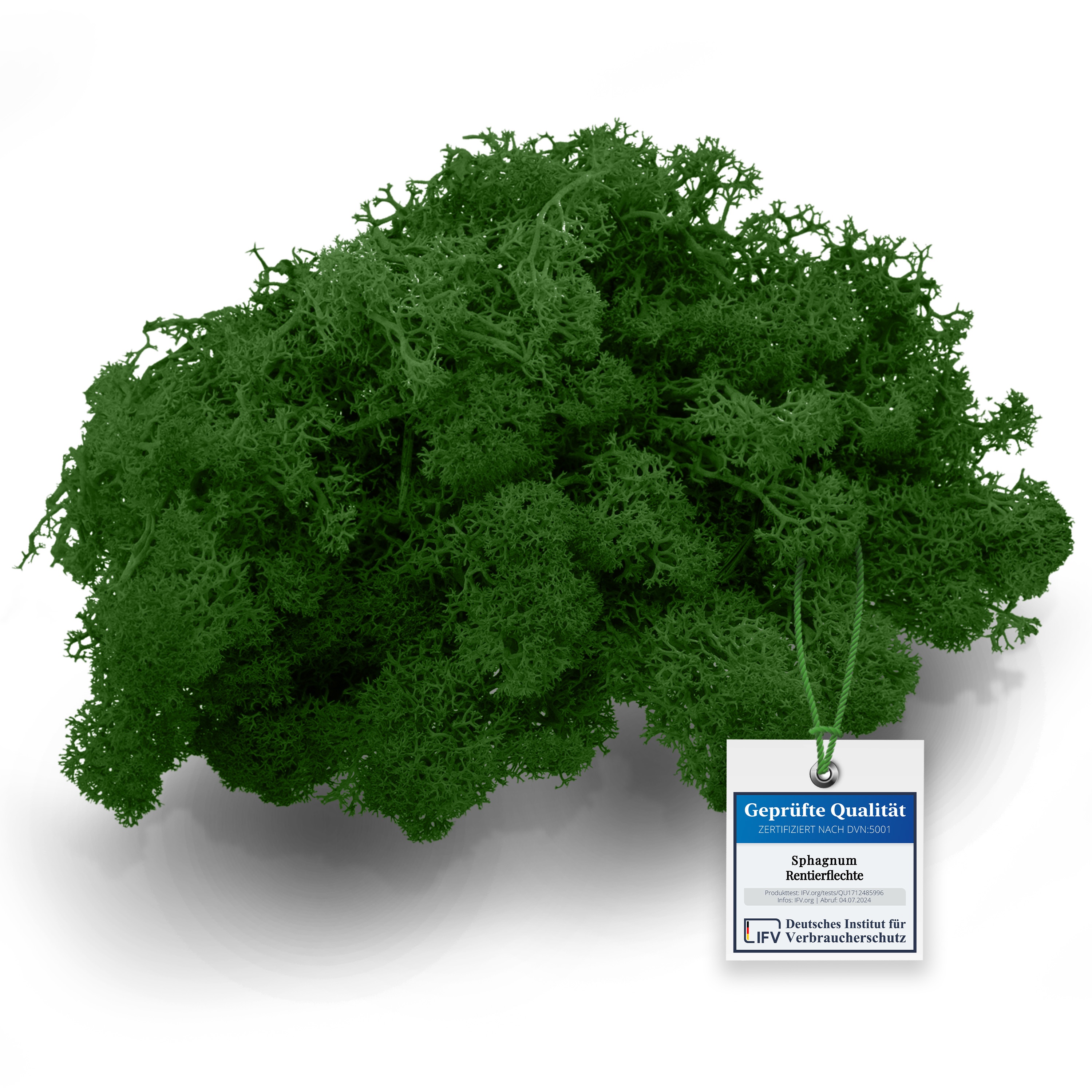Forrest Green