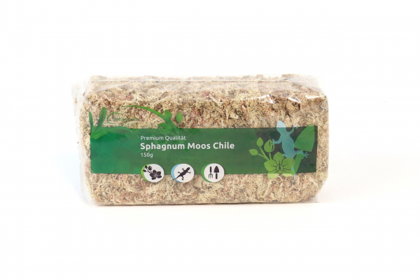 Sphagnum Moos 150 Gramm aus Chile