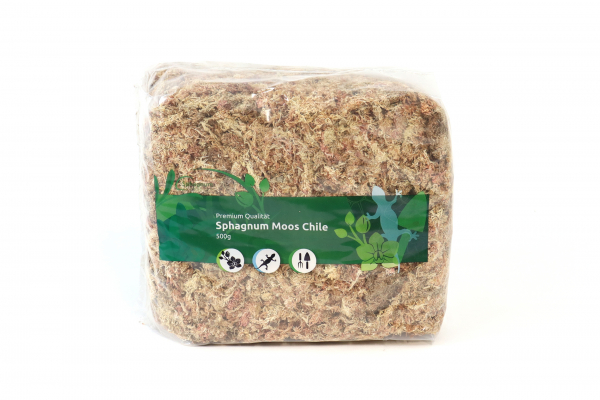 Sphagnum Moos 500 Gramm aus Chile