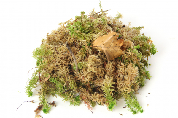 Buy Sphagnum Moss for sale | 20% Retail