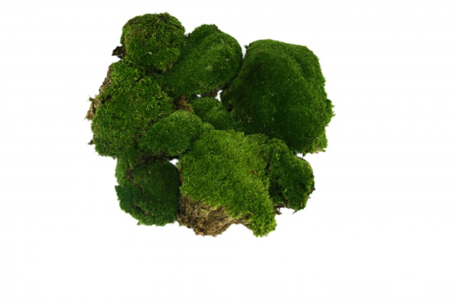 Bollenmoos Plattenmoos Kugelmoos 1 kg