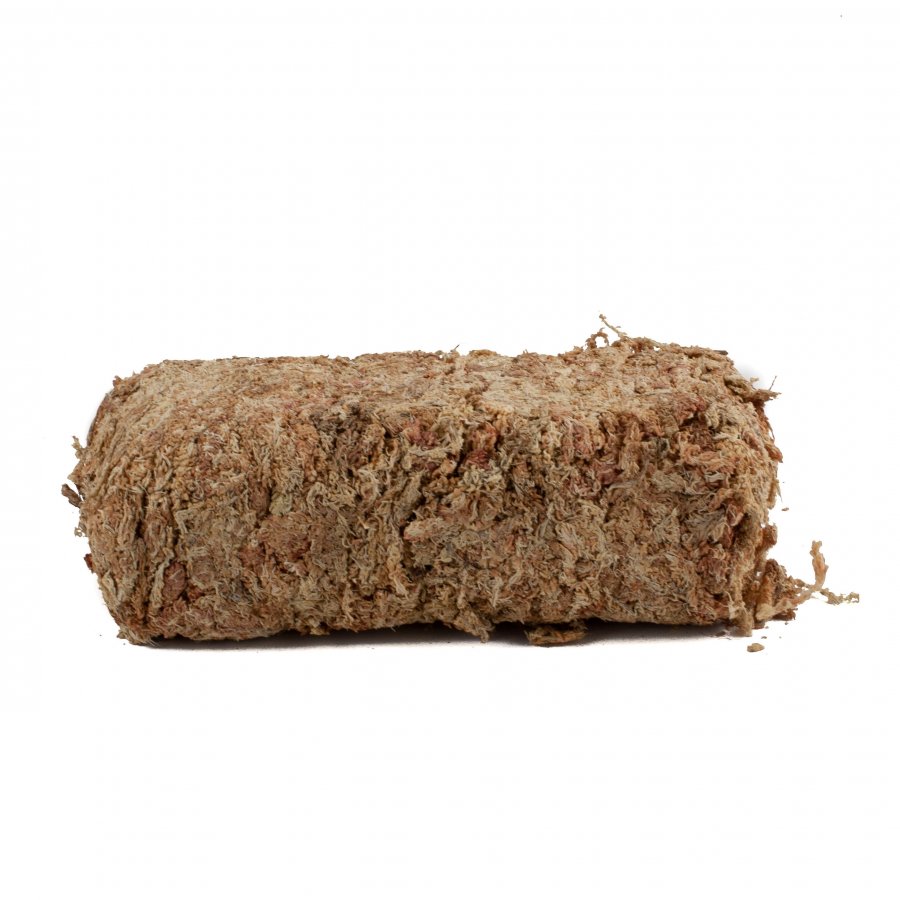 Sphagnum Moos 150 Gramm aus Chile