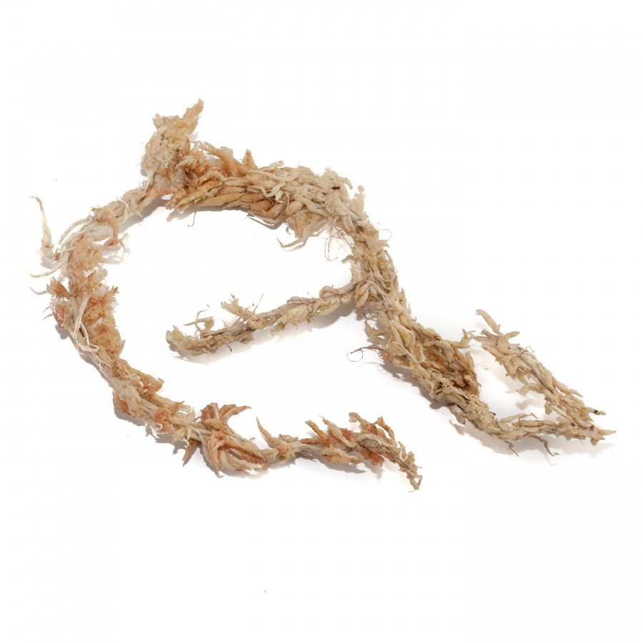 Sphagnum Moos 5 kg aus Chile