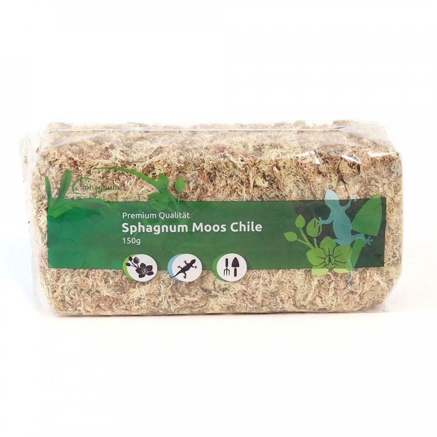 Sphagnum Moos 150 Gramm aus Chile