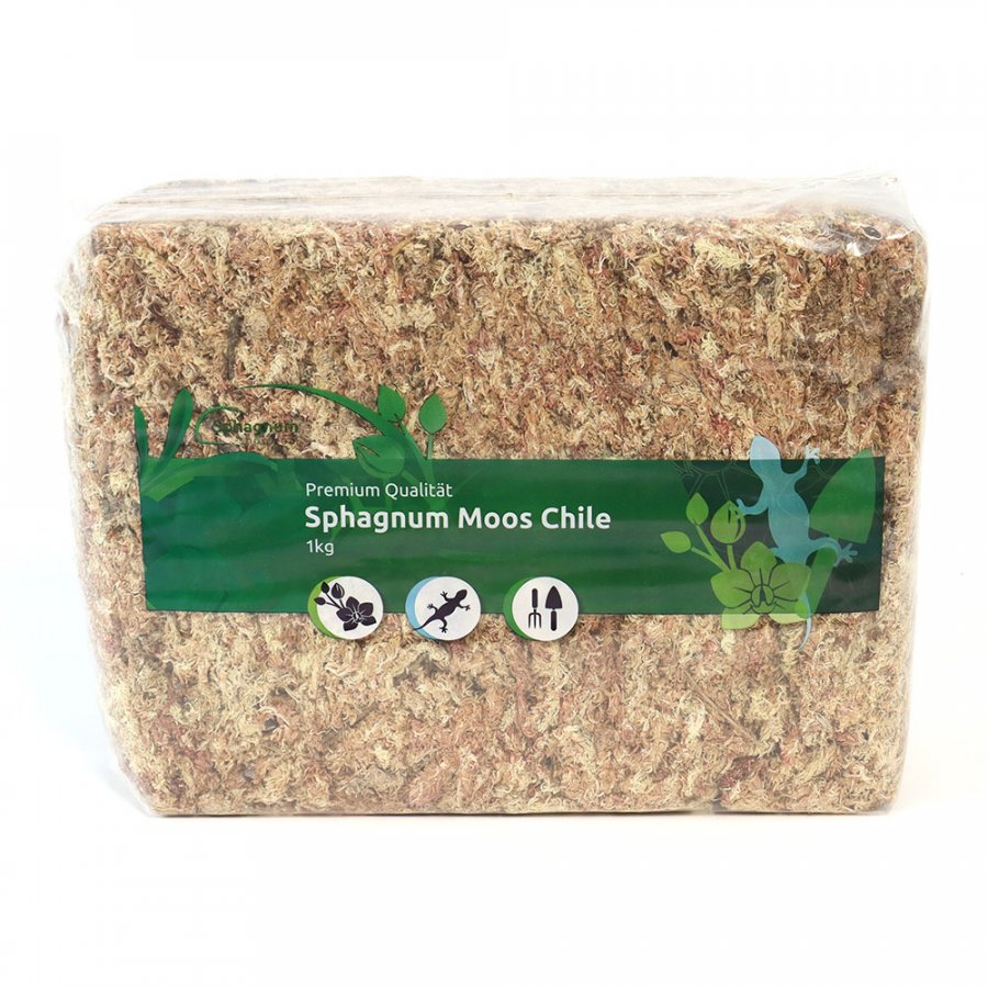 Sphagnum Moos 1 kg aus Chile