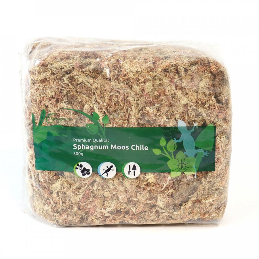 Sphagnum Moos 500 Gramm aus Chile
