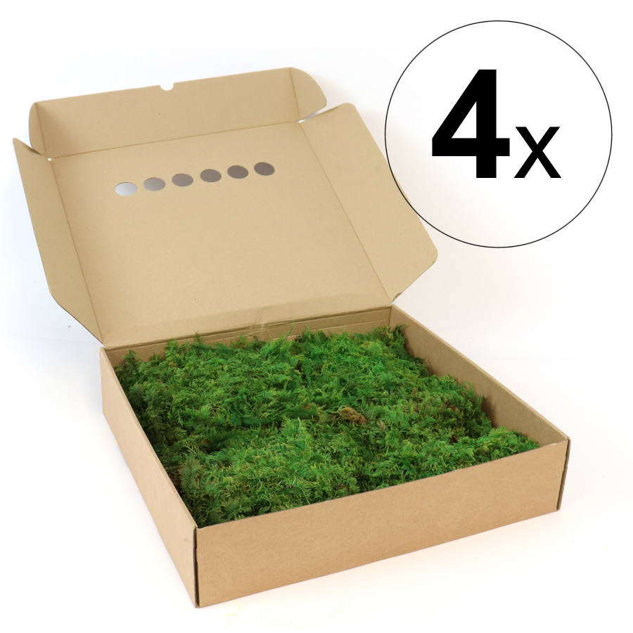 Farnmoos konserviert grün Bulkbox 0,8m²